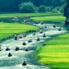 7 Day Trip: Ho Chi Minh City, Mekong And Da Lat
